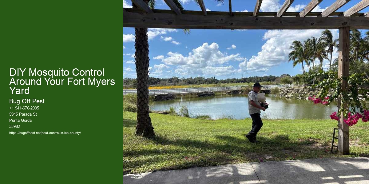 DIY Mosquito Control Around Your Fort Myers Yard