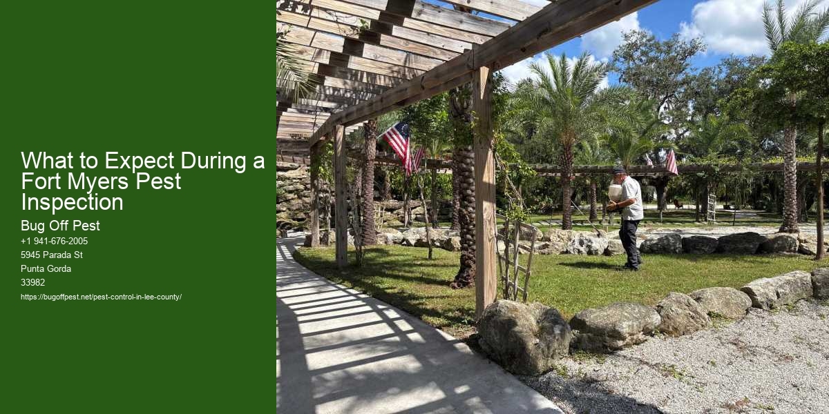 What to Expect During a Fort Myers Pest Inspection