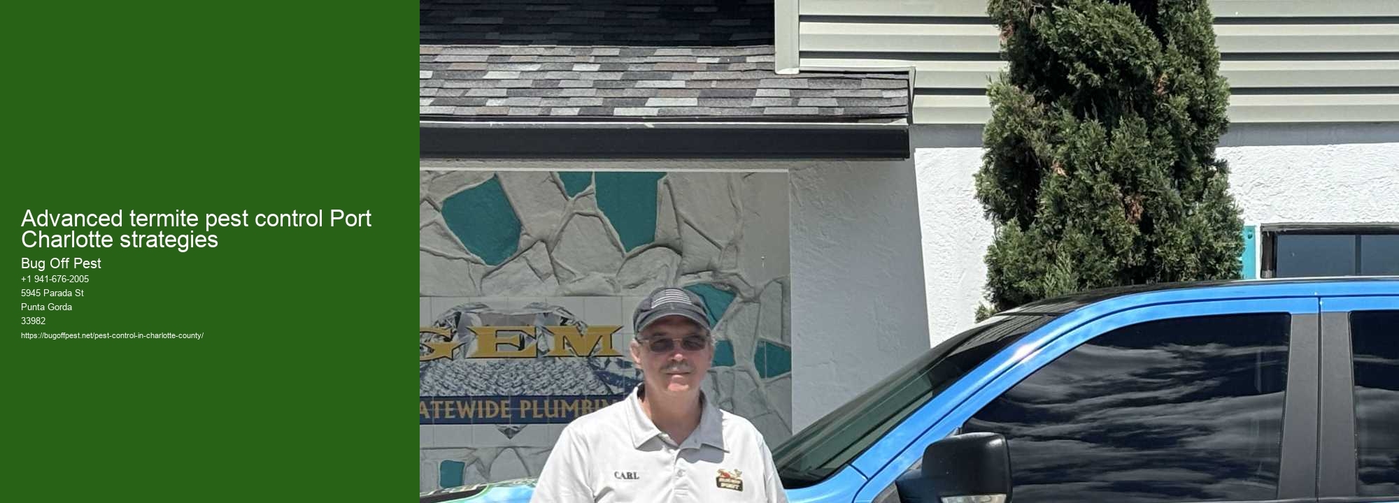 Advanced termite pest control Port Charlotte strategies